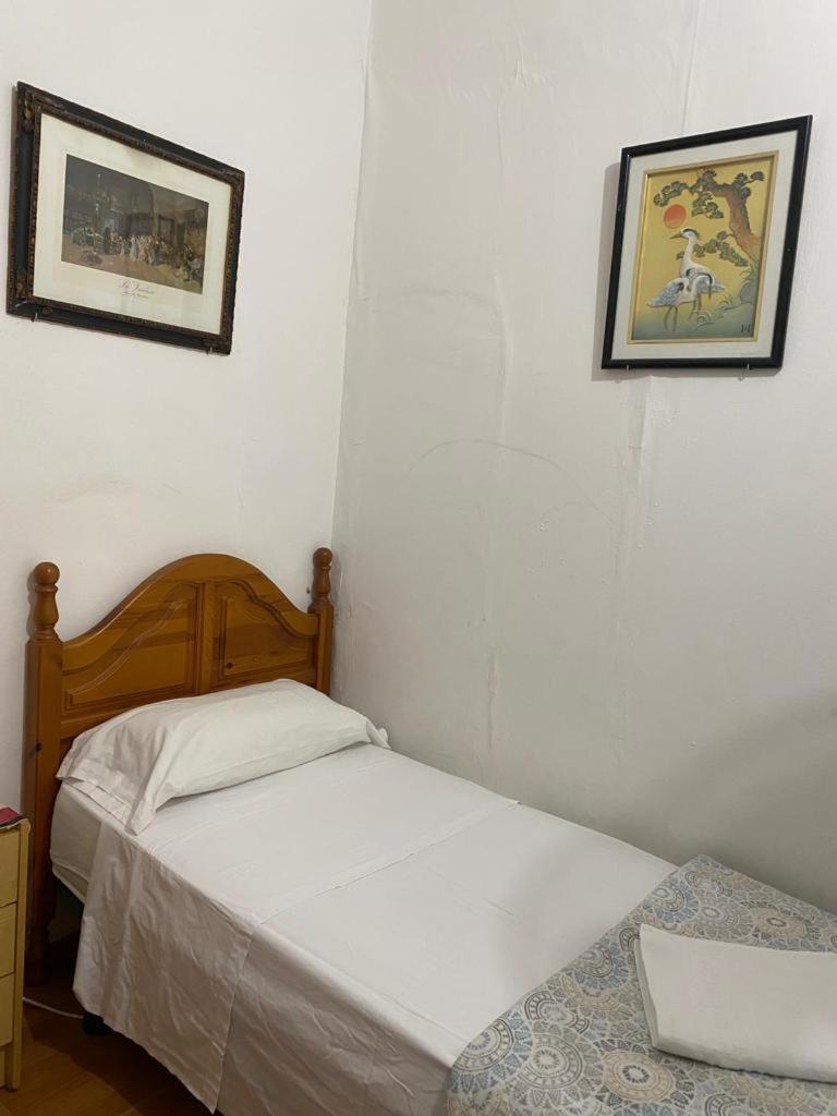 Single Room Shared Shower Toilet